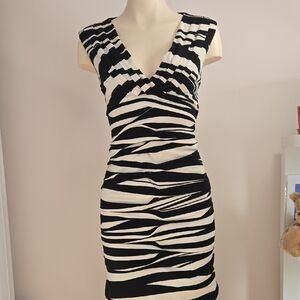 Le Chateau Zebra Print Midi Dress